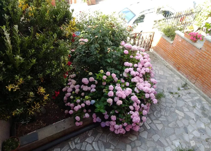 Apartment Paskali